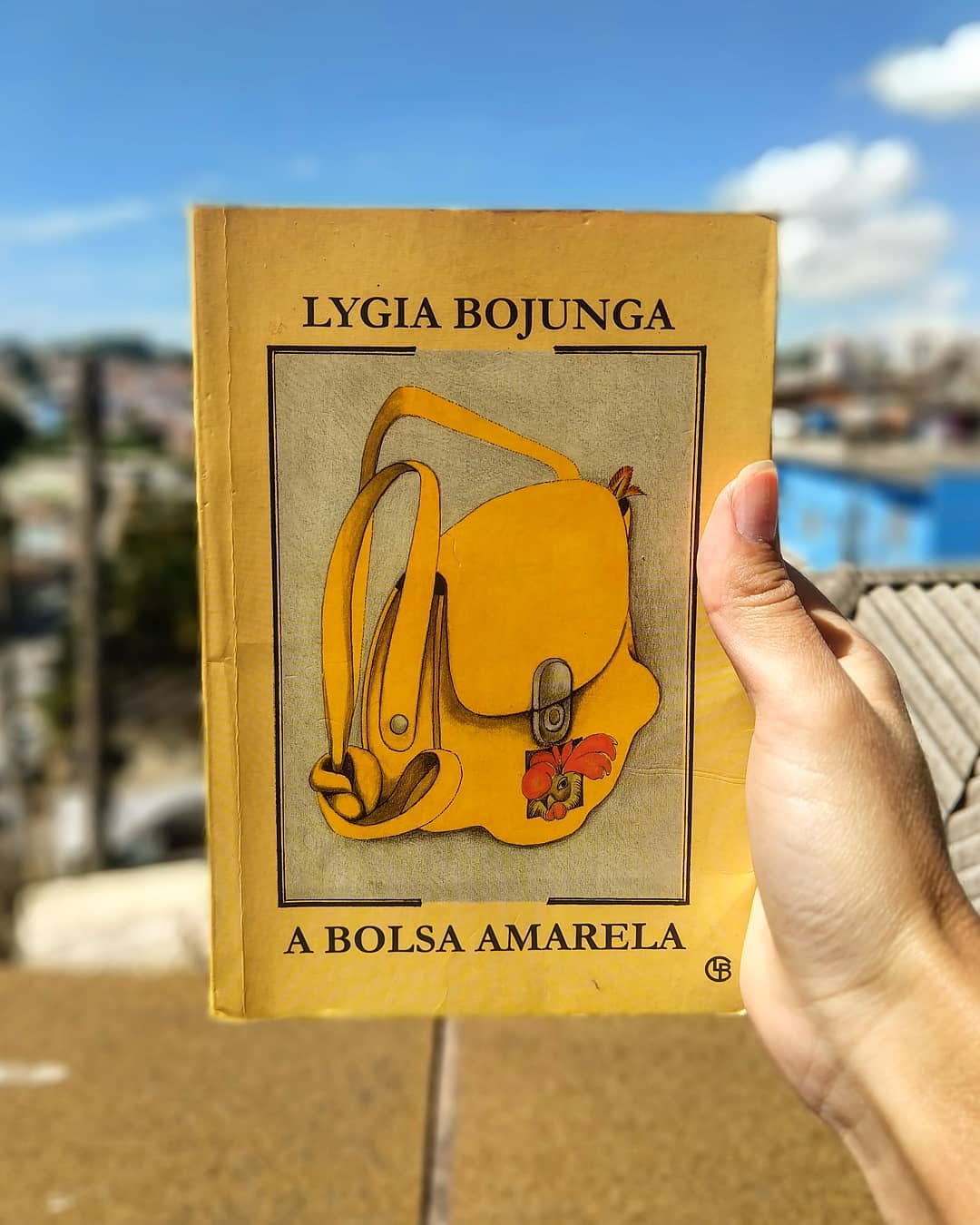 A Bolsa Amarela - Lygia Bojunga :: Prazer em leitura